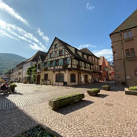 Coeur D'Alsace Apartment Kaysersberg-Vignoble Exterior photo