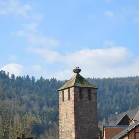 Coeur D'Alsace Apartment Kaysersberg-Vignoble Exterior photo