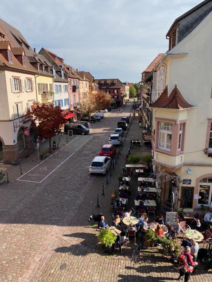 Coeur D'alsace Kaysersberg-Vignoble